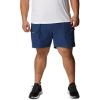 imageColumbia Sportswear Mens Brewha II ShortsCarbon