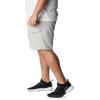 imageColumbia Sportswear Mens Brewha II ShortsCool Grey