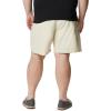 imageColumbia Sportswear Mens Brewha II ShortsStone