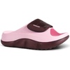 Pink/Wine Red