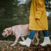 image:imageDKSUKO Womens Short Rain Boots Waterproof Ankle Raining Shoes AntiSlip Garden Boot Rubber Garden Shoes for Ladies Outdoor Work ShoesWhite a